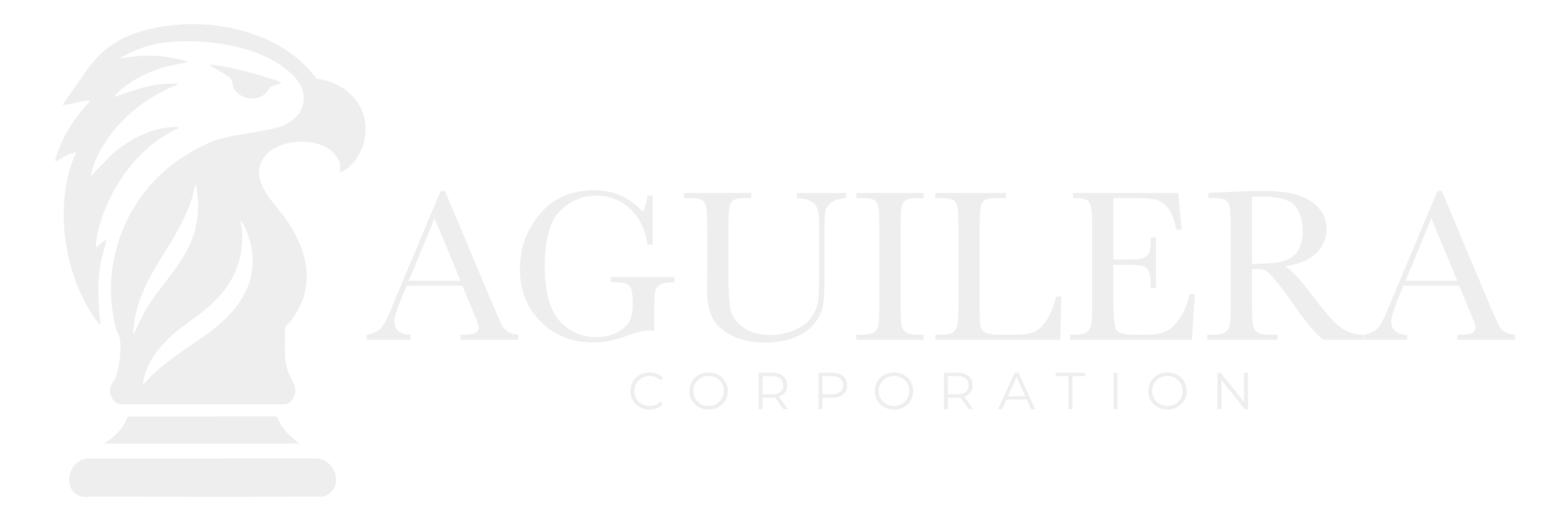 Aguilera Corporation